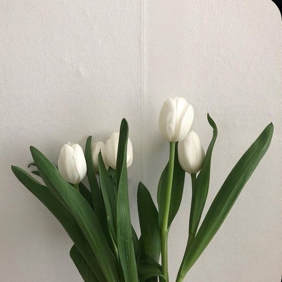 Meet your Posher, Caroline - Picture 1 of 1